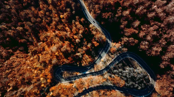 Bellissimo Paesaggio Aereo Strada Forestale Montagna Vuota Trasporti Concep — Foto Stock