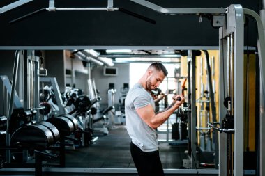 Kollarını ve pazılarını spor salonunda çalıştıran kaslı adam. Fitness hayatı, sağlıklı yaşam konsepti