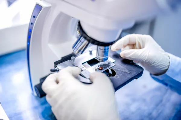 Close-up of scientist hands with microscope, examining samples and liquid — Stock Photo, Image