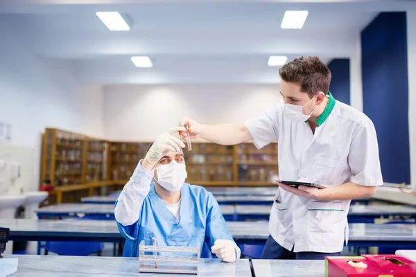 Medicine students carrying out experiments and comparing tissue samples — Stock Photo, Image