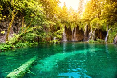 Doğa diyarında, lake şelale ile güneş ışığı güneşli yaz gününde Milli Parkı içinde. Şelalenin derin orman, plitvice Milli Parkı