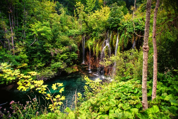 Cascade de forêt tropicale profonde, paysage magnifique extérieur avec de l'eau, étang et arbres . — Photo