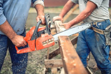 işçiler, sıhhı mekanik chainsaw kullanma Ahşap ahşap kesim. 