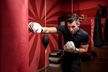 Boksör eldivenleri ile eğitim ve ana boks portresi