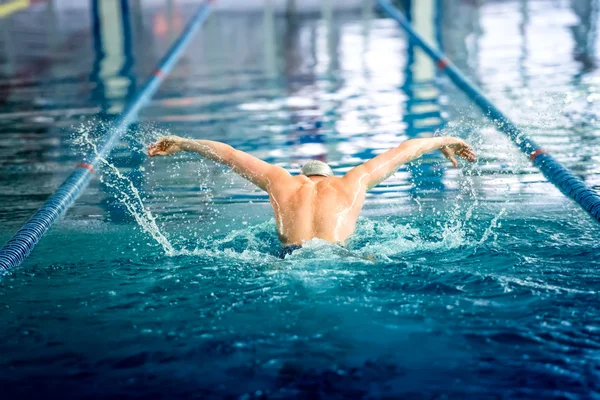 Male swimmer performing the butterfly stroke at indoor swimming competition — Stock Photo, Image
