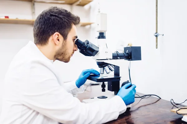 Homem, cientista masculino, químico que trabalha com microscópio em laboratório farmacêutico, examinando amostras — Fotografia de Stock