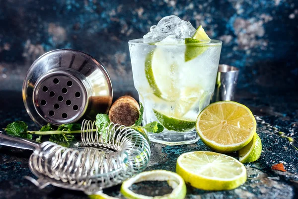 Gin tonic alcoholic cocktail with ice and mint. Cocktail drinks served at restaurant, pub or bar — Stock Photo, Image