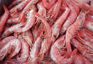 Buzda balık pazarında taze karides