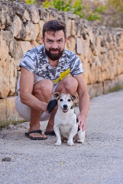 Sahibi, Jack Russell Terrier 'ı taştan duvarlar, palto bakımı, sakince evcil hayvan tımar etme anı gibi sessiz bir sokakta çömelip fırçalıyor.