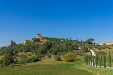 Selvi kaplı yeşil tepeler Toskana kırsalındaki villaya uzanır parlak yaz ışığı Castiglione, İtalya - 12 Ekim 2023