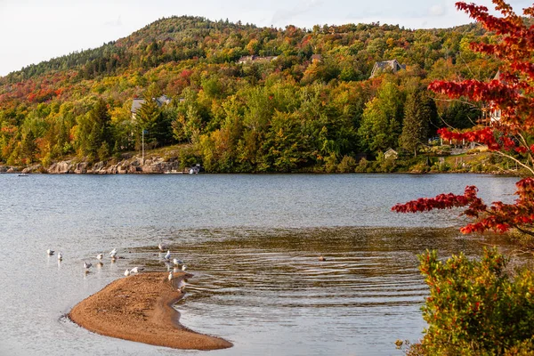 트 렘 블 란트 호와 몽트 트 트 트 렘 블랑 이 가을에 잎들과 함께 떨어지는 것 , 캐나다. — 스톡 사진