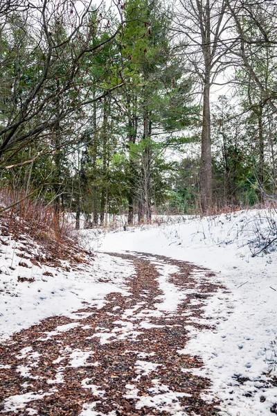 O caminho na floresta canadense em — Fotografia de Stock