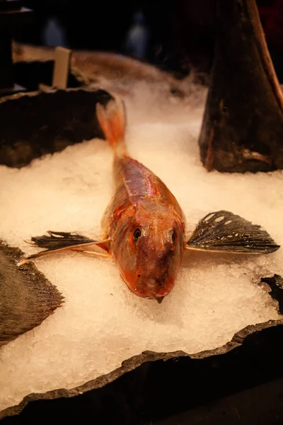 Deniz ürünleri satan yerde buzda kaymaklı balık.