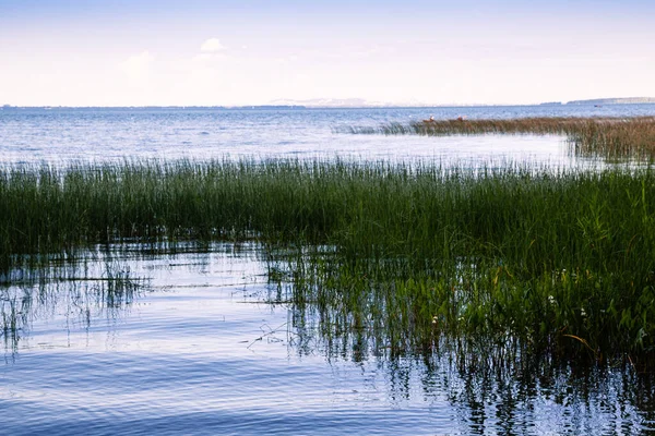 Montreal yakınlarındaki St. Lawrence nehri.