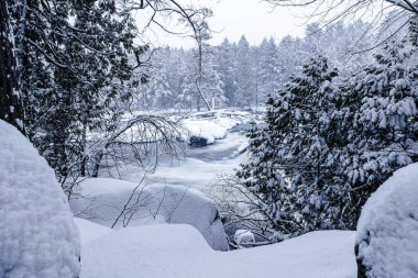 Quebec Kanada 2026 parkında kış nehri manzarası