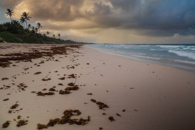 Karayip deniz manzarası, Dominik Cumhuriyeti 26