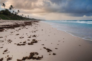 Karayip deniz manzarası, Dominik Cumhuriyeti 26
