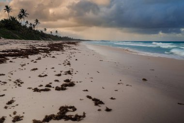 Karayip deniz manzarası, Dominik Cumhuriyeti 26