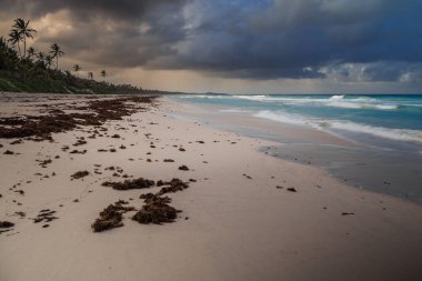 Karayip deniz manzarası, Dominik Cumhuriyeti 26
