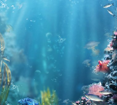 Deniz. Sea Life. Balıklar ve mercan akvaryum