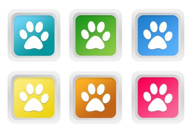 evde beslenen hayvan ayak izleri simgesi olan kare renkli düğmelerinin ayarla