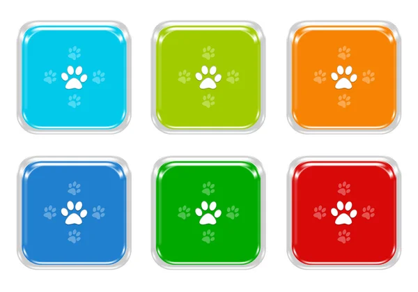 Set of squared colorful buttons with pet footprints symbol — Stock Photo, Image