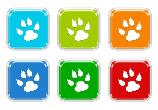 Set of squared colorful buttons with pet footprints symbol — Stock Photo, Image
