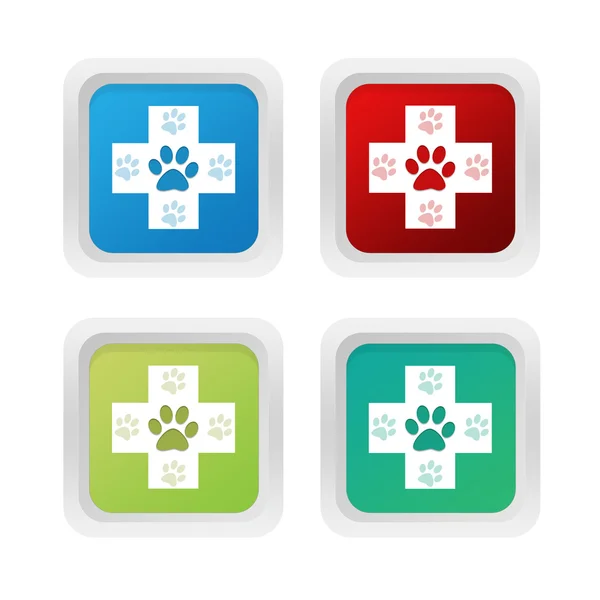 Conjunto de botones de colores cuadrados con símbolo veterinario —  Fotos de Stock