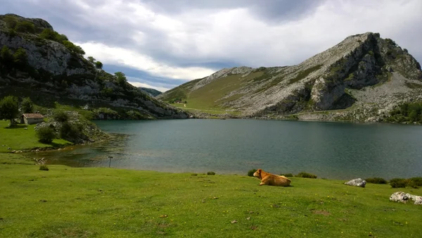 Landscape in Lake Enol, Asturias, Spain — Stock Photo, Image