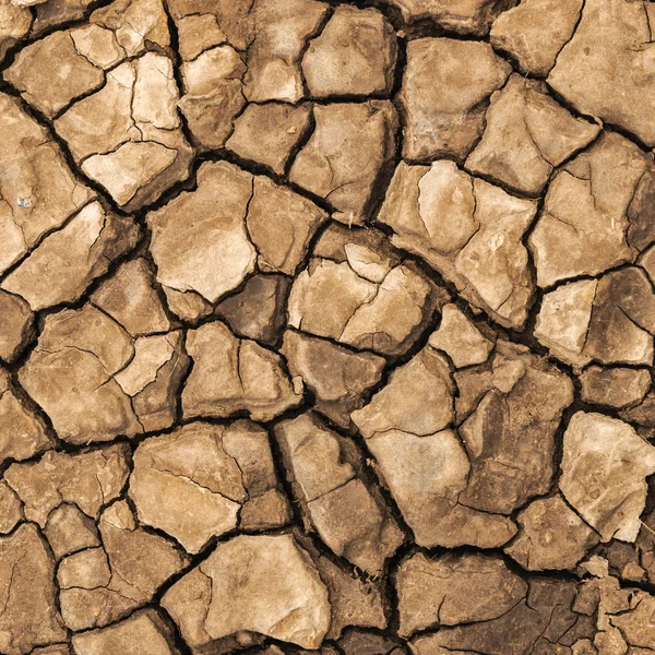 Mud on a beach which has dried and cracked — Stock Photo, Image