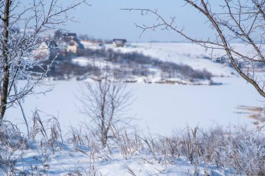Bulanık doğal arka planda buzla kaplı ağaçlar ve çimenler. Güneşli bir günde, arka planda kurumuş dallarda buz tabakası. Kapat..