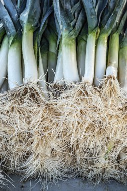 İspanyol haftalık pazarında taze soğan ve kökleri yakın çekim.