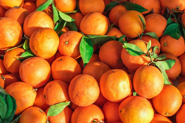 Čerstvé Pomeranče Stánku Španělském Trhu Pozadí Potravin Zblízka Záběr Selektivním — Stock fotografie