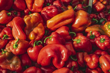 Haftalık İspanyol pazarında taze organik kırmızı biber. Yemek arkaplanı seçici odak ile yakın çekim.