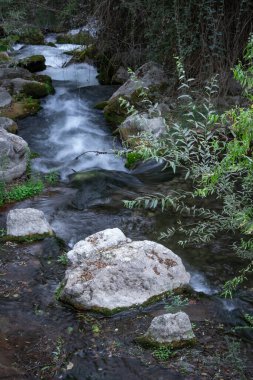 Bulutlu bir günde yosunlu kaya ve kayalarla hızlı akan dağ nehri..