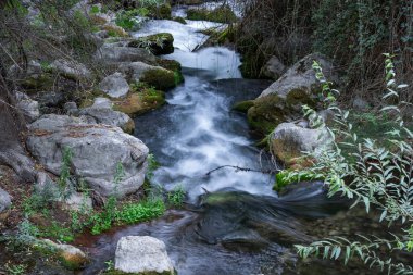 Bulutlu bir günde yosunlu kaya ve kayalarla hızlı akan dağ nehri..