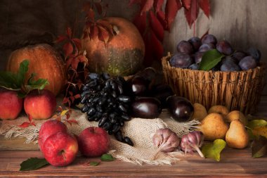 Hayat elmaları, armutlar, erikler, patlıcanlar, sarımsaklar, üzümler ve kırsal ahşap arka planda farklı türde balkabakları