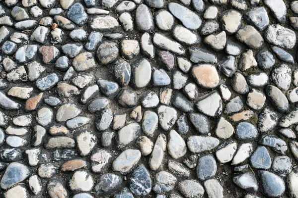 Gray Cobblestone Floor Background Rounded Stones Different Shapes Perspective View — Stock Photo, Image