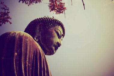 Büyük Buda (Daibutsu) Ktoku-in, Kamakura, Kanagawa Bölgesi, Japonya.
