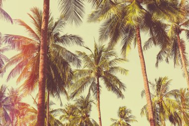 Retro Stili Hawaii Canlı Renkli Günbatımı Palmiye Ağaçları