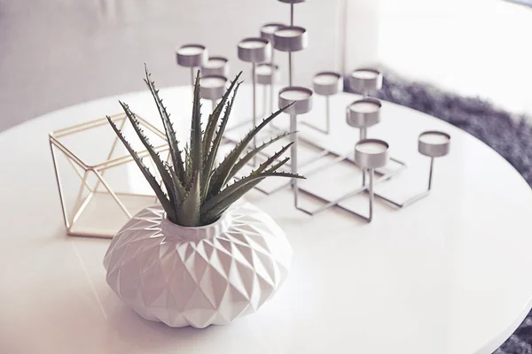 Groene Plant Een Vaas Kaars Staan Tafel Woonkamer — Stockfoto