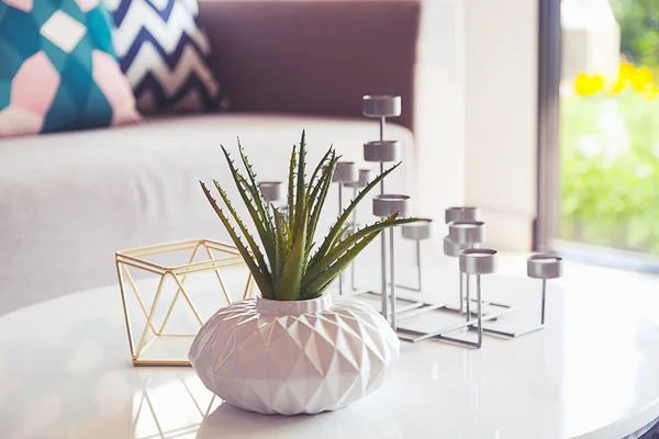 green plant in a vase and candle stand on table in living room.