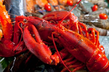 Açık büfede taze ıstakoz ve deniz ürünleri.