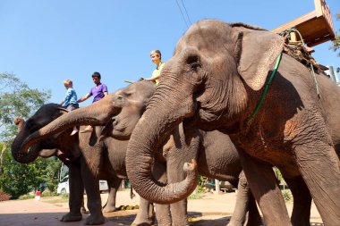 A mahout and tourists at The Elephant Village outside of Luang Prabang, Laos.