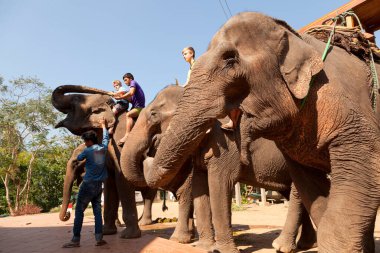 A mahout and tourists at The Elephant Village outside of Luang Prabang, Laos.