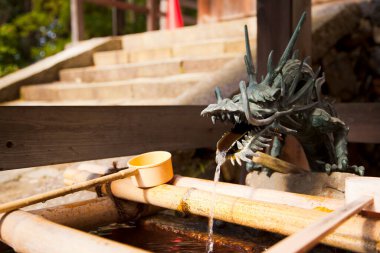 İnsanlar Japonya 'nın Nara kentindeki Kasuga-taisha türbesini ziyaret ediyor..