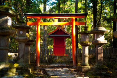 İnsanlar Japonya 'nın Nara kentindeki Kasuga-taisha türbesini ziyaret ediyor..