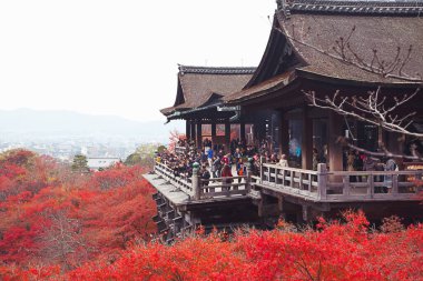 Japonya 'nın Kyoto kentinde bir sonbahar sezonu sırasında Kiyomizu-dera Tapınağı.