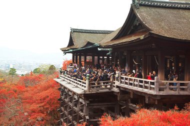 Japonya 'nın Kyoto kentinde bir sonbahar sezonu sırasında Kiyomizu-dera Tapınağı.