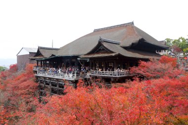 Japonya 'nın Kyoto kentinde bir sonbahar sezonu sırasında Kiyomizu-dera Tapınağı.